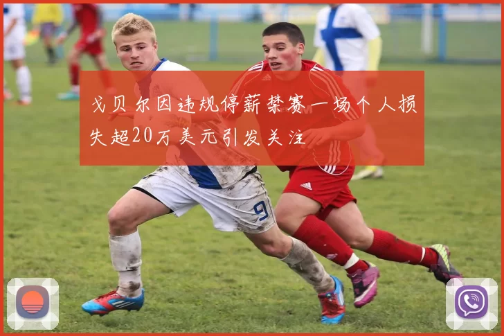 戈贝尔因违规停薪禁赛一场个人损失超20万美元引发关注