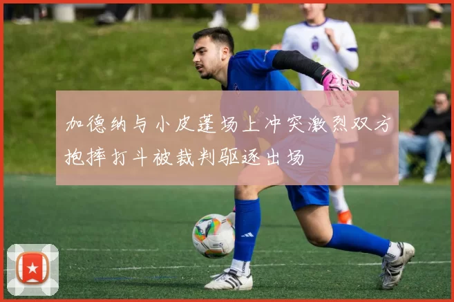 加德纳与小皮蓬场上冲突激烈双方抱摔打斗被裁判驱逐出场