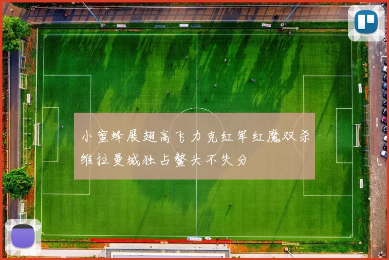 小蜜蜂展翅高飞力克红军红魔双杀维拉曼城独占鳌头不失分